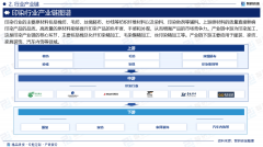    研究演讲—中国印染行业成长概况、市场